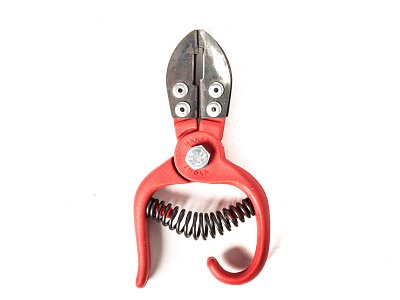 Manaresi Incisore anulare per viticoltura