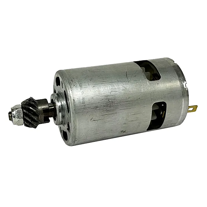 Sbaraglia Motore con Pignone per Sheker