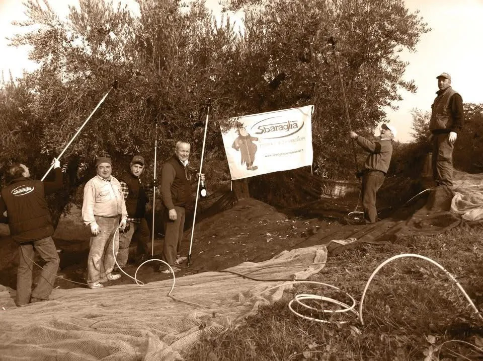 la storia di Sbaraglia